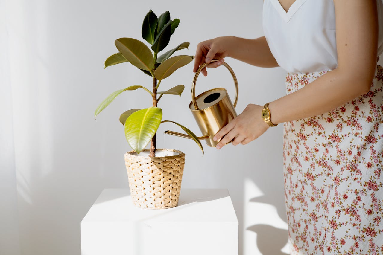 How to Use Social Media to Grow Your Business Effectively